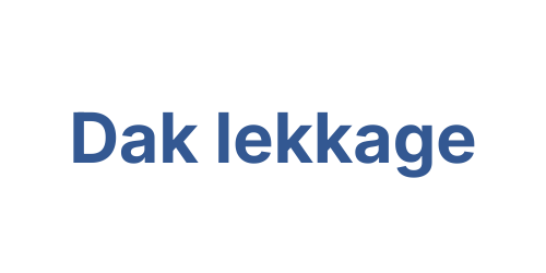 Dak lekkage spoed service